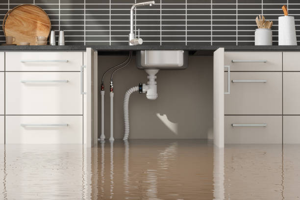 Best Water damage contractors near me  in Lakeside, OR